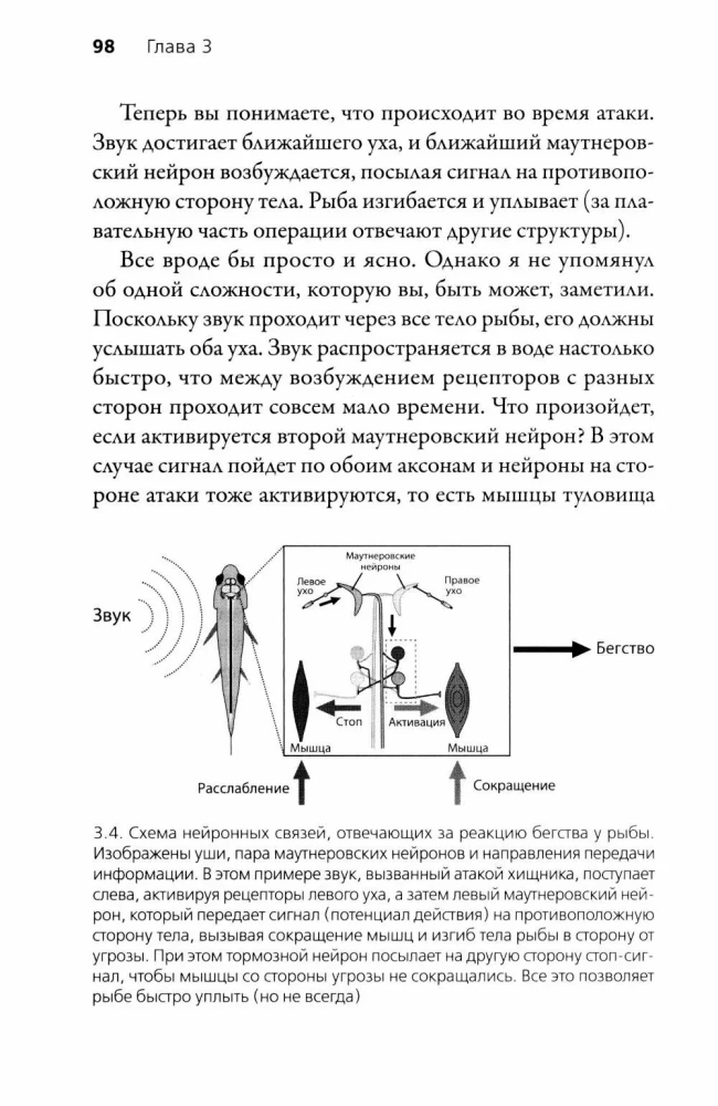 Искусные адаптации