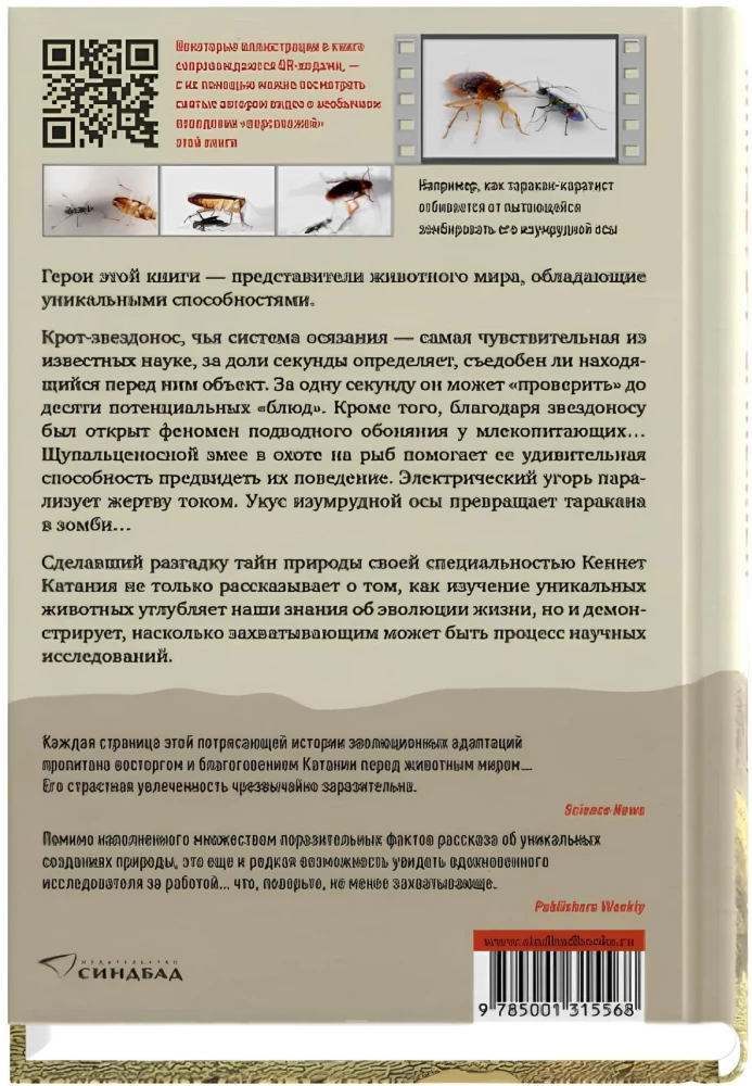 Искусные адаптации