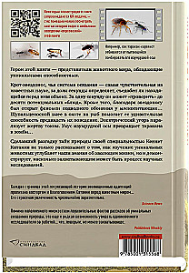 Искусные адаптации
