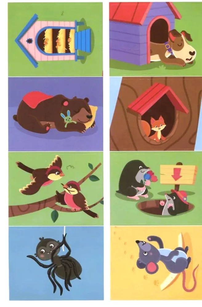 Подбери домик!