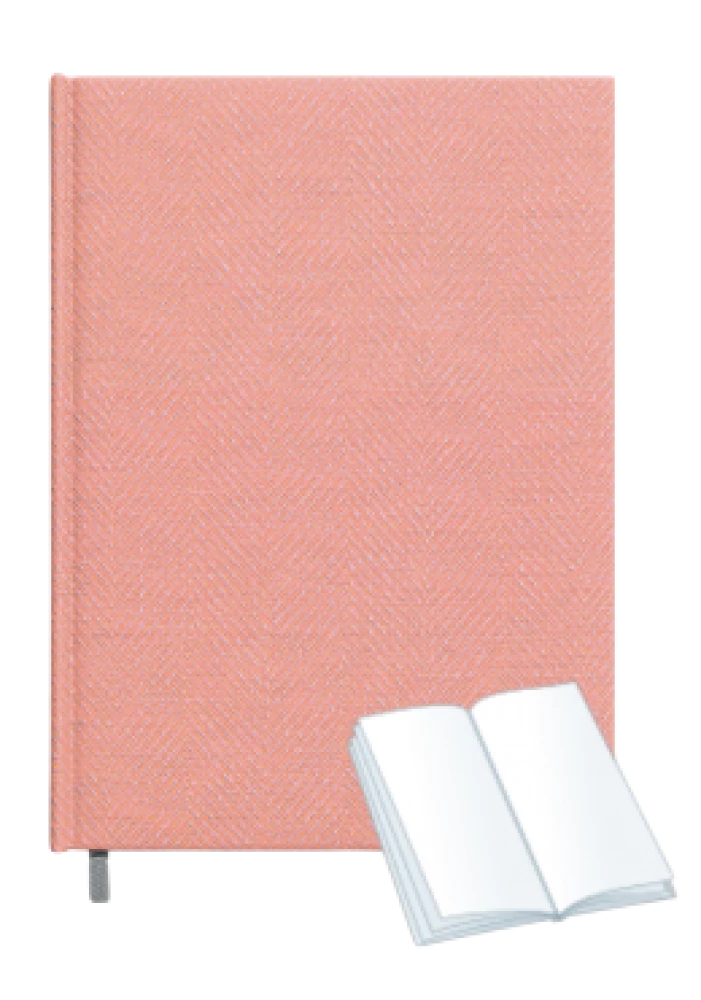 Teacher's Diary 2025/2026 (Assorted)