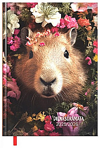 Diary with dates 2025/26 (assorted)