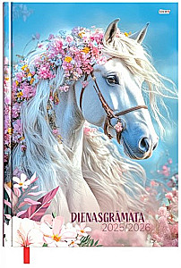Diary with dates 2025/26 (assorted)