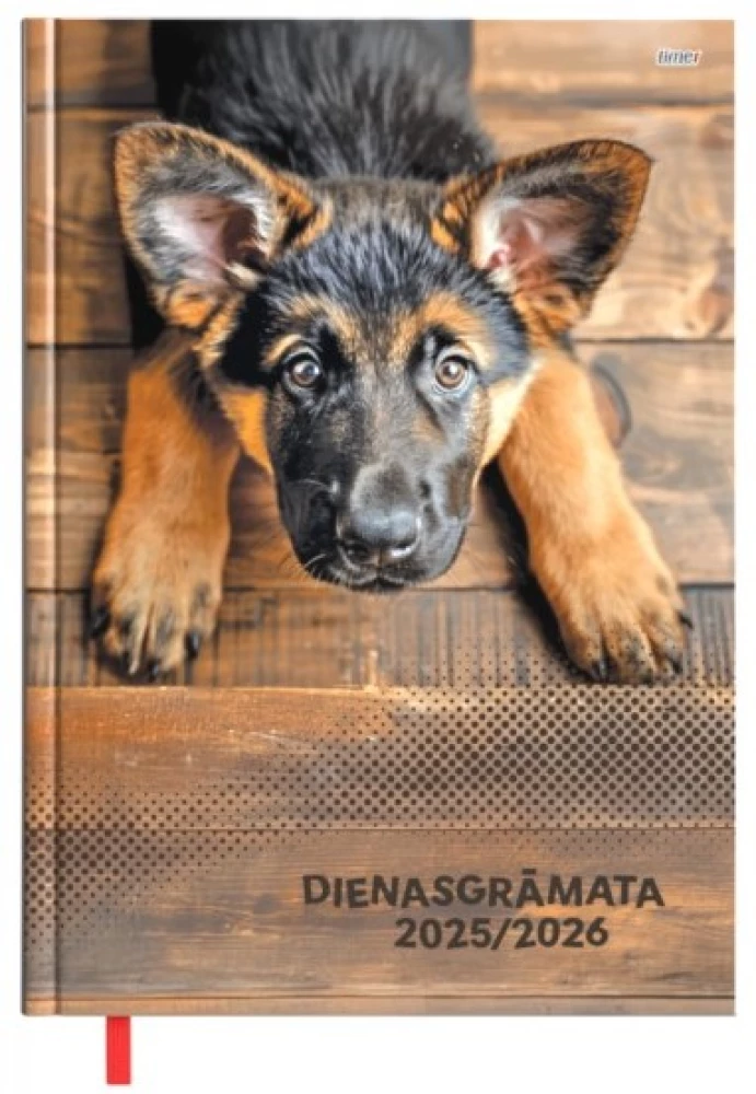 Diary with dates 2025/26 (assorted)