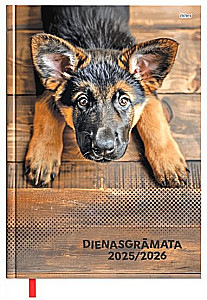 Diary with dates 2025/26 (assorted)