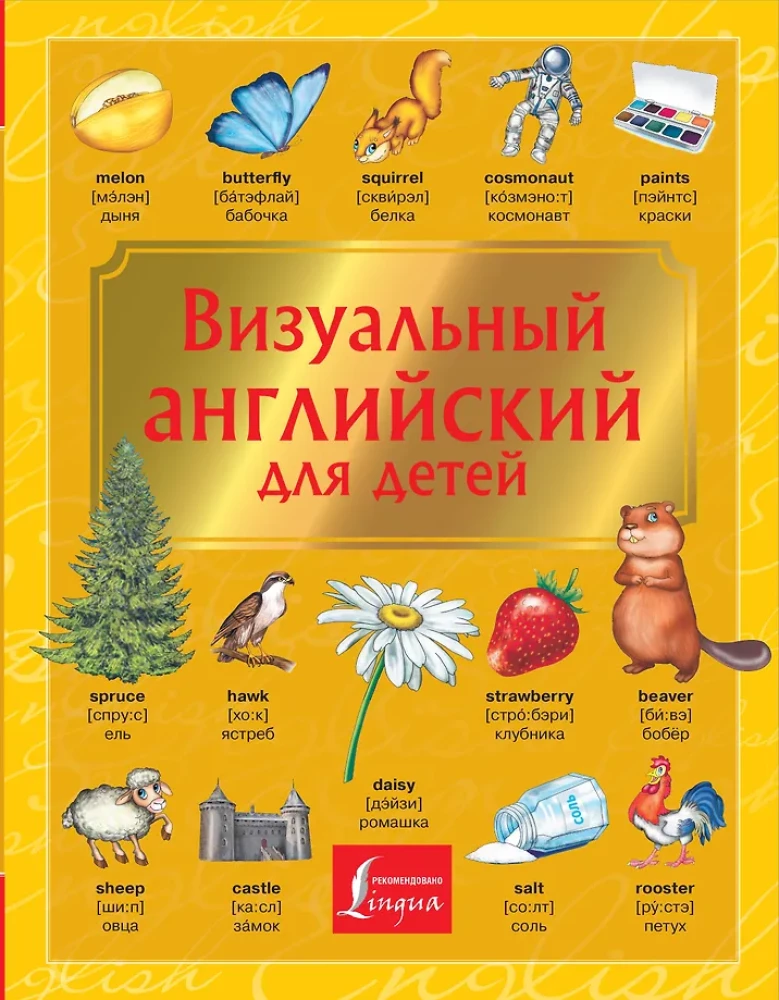 Wizualny angielski dla dzieci