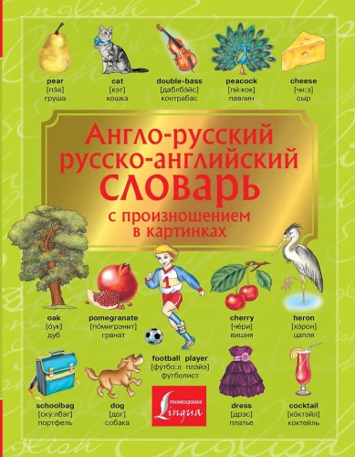 English-Russian. Russian-English Dictionary with Pronunciation in Pictures