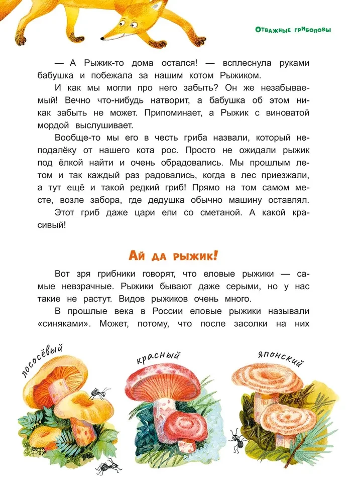 Der Pilzhäuptling