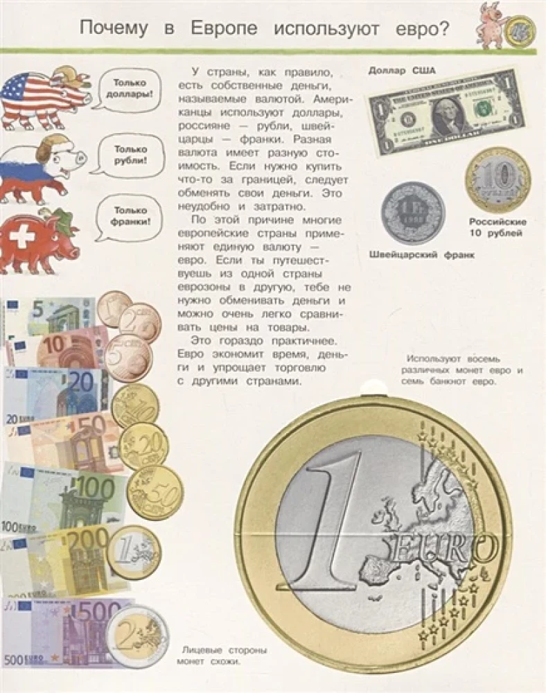 Was? Warum? Wozu? Unser Geld und die Wirtschaft (mit zauberhaften Fenstern)