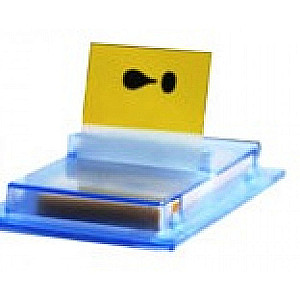 Index Tabs 25,4 × 43,2 mm