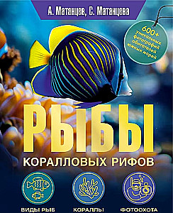 Coral Reef Fish