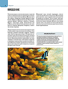 Coral Reef Fish