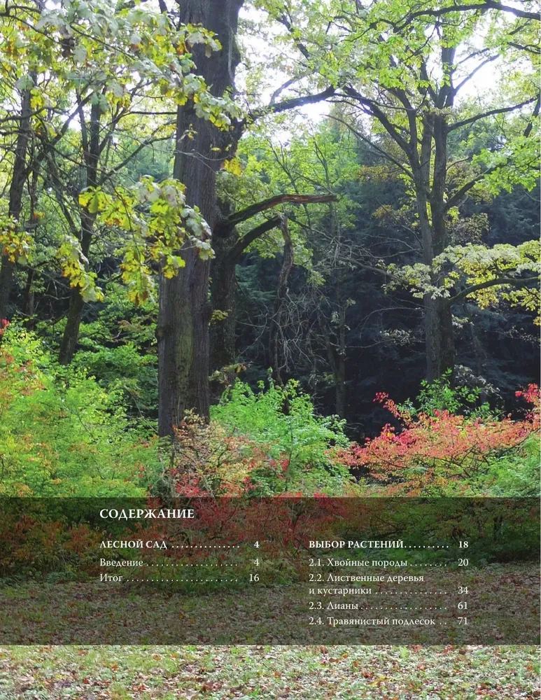 Forest Garden. Landscape Design in Harmony with Nature
