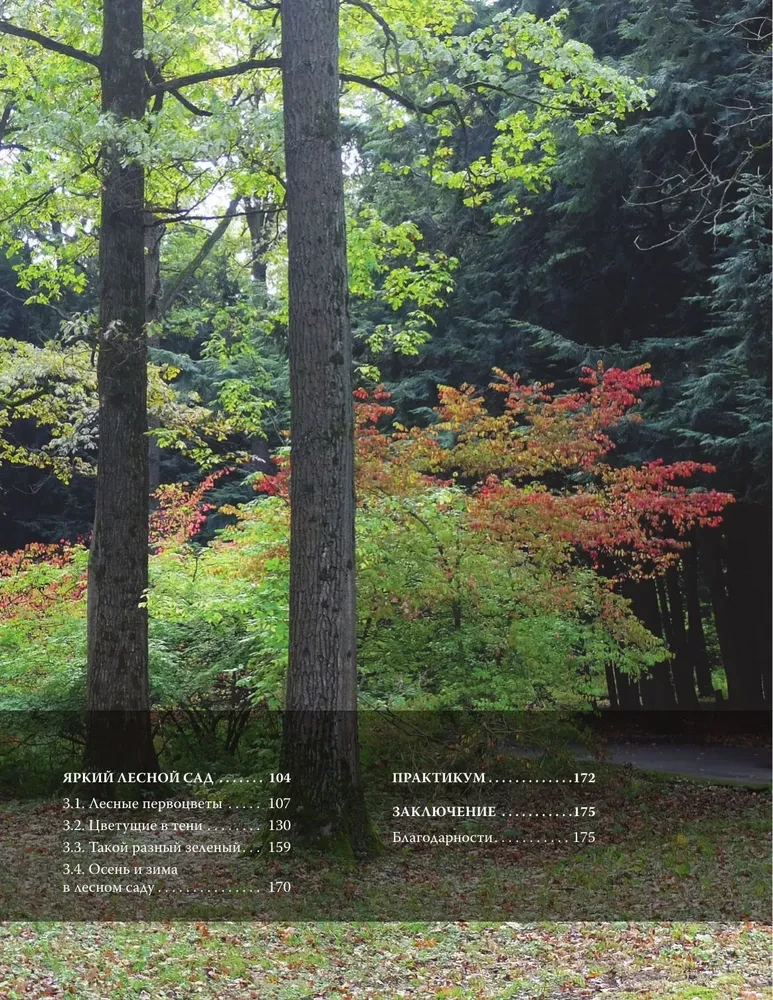 Forest Garden. Landscape Design in Harmony with Nature