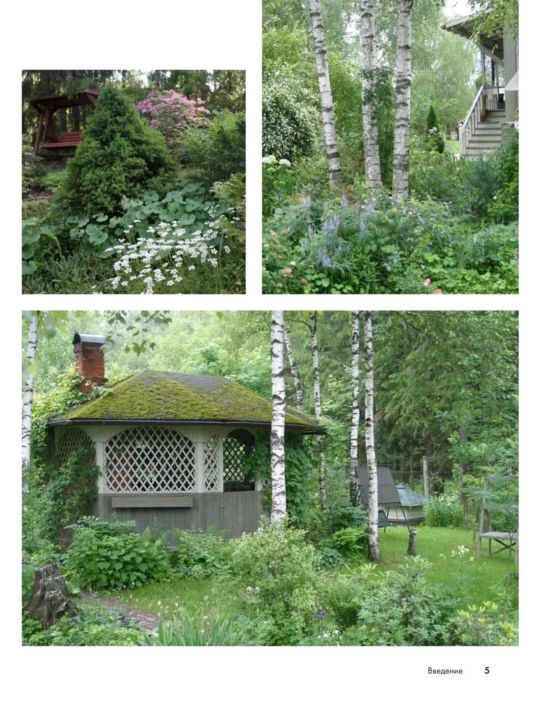 Forest Garden. Landscape Design in Harmony with Nature