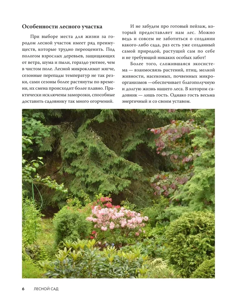 Forest Garden. Landscape Design in Harmony with Nature