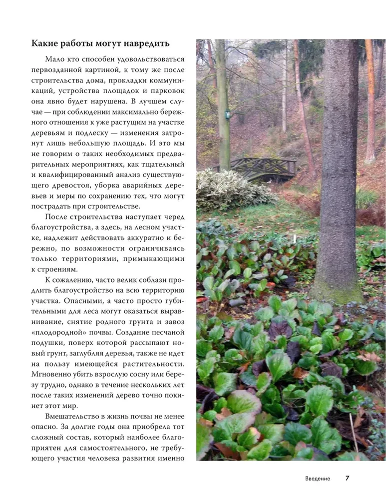 Forest Garden. Landscape Design in Harmony with Nature