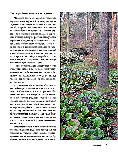 Forest Garden. Landscape Design in Harmony with Nature