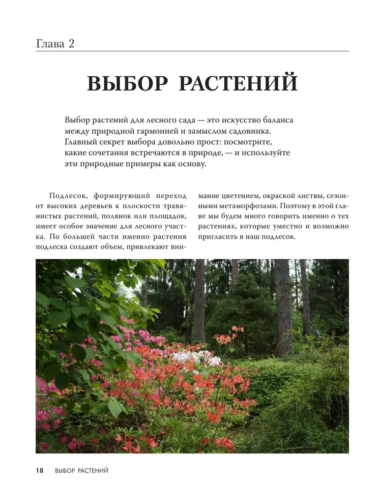 Forest Garden. Landscape Design in Harmony with Nature