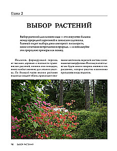 Forest Garden. Landscape Design in Harmony with Nature