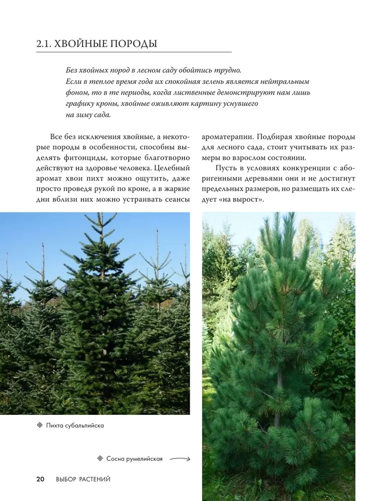 Forest Garden. Landscape Design in Harmony with Nature