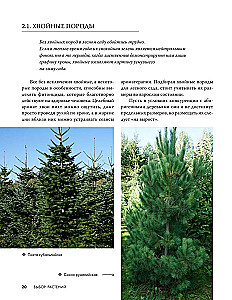 Forest Garden. Landscape Design in Harmony with Nature