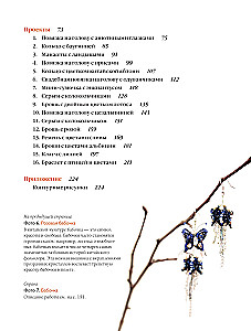 Chinese Bead Embroidery from A to Z. A Practical Course in Techniques, Methods, and Designs