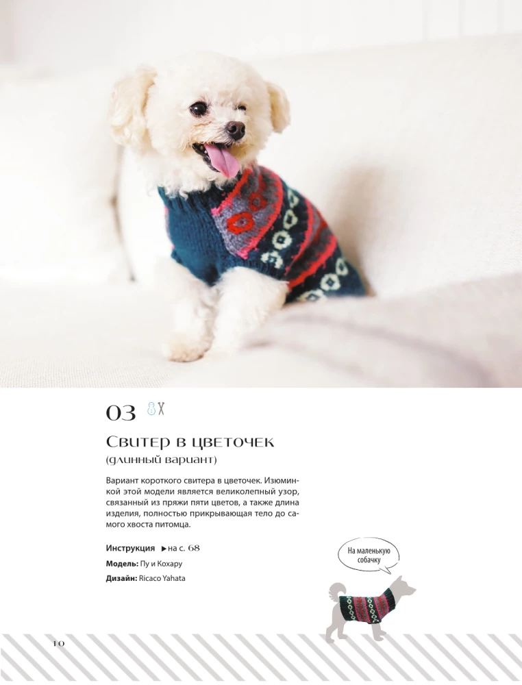Family look. Me and my dog. Crocheting and knitting. 30 stylish projects for pets and their owners