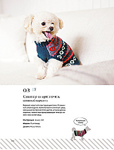 Family look. Me and my dog. Crocheting and knitting. 30 stylish projects for pets and their owners