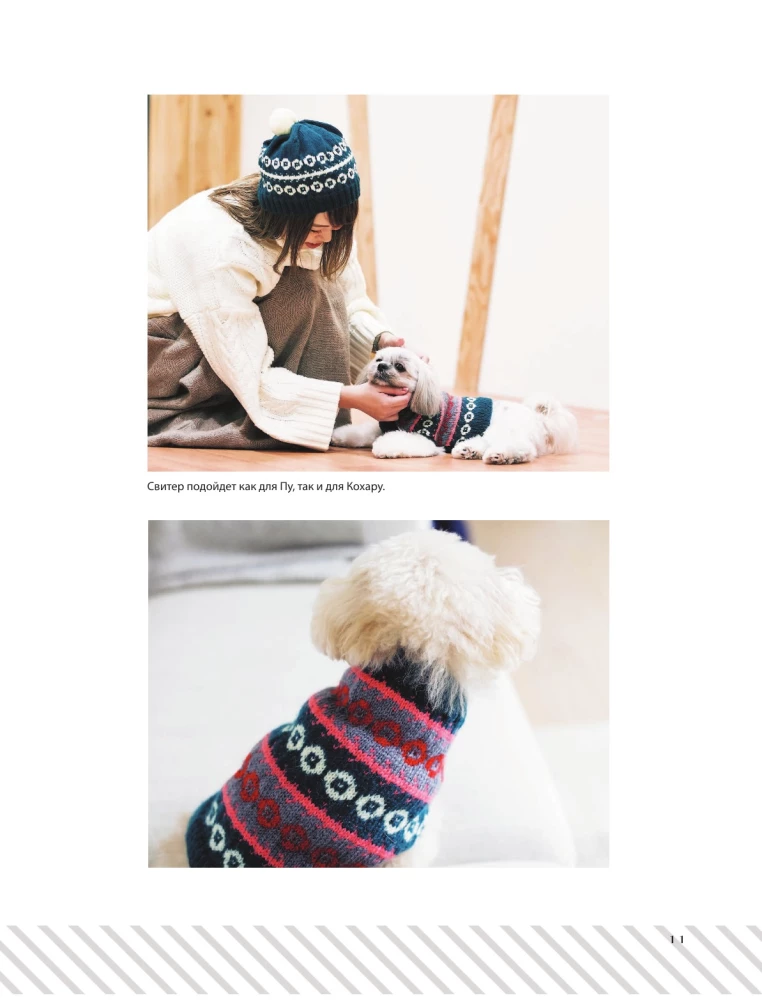 Family look. Me and my dog. Crocheting and knitting. 30 stylish projects for pets and their owners