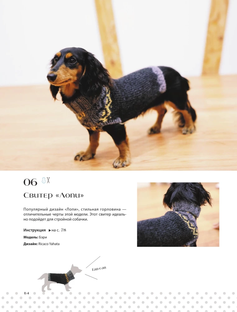 Family look. Me and my dog. Crocheting and knitting. 30 stylish projects for pets and their owners