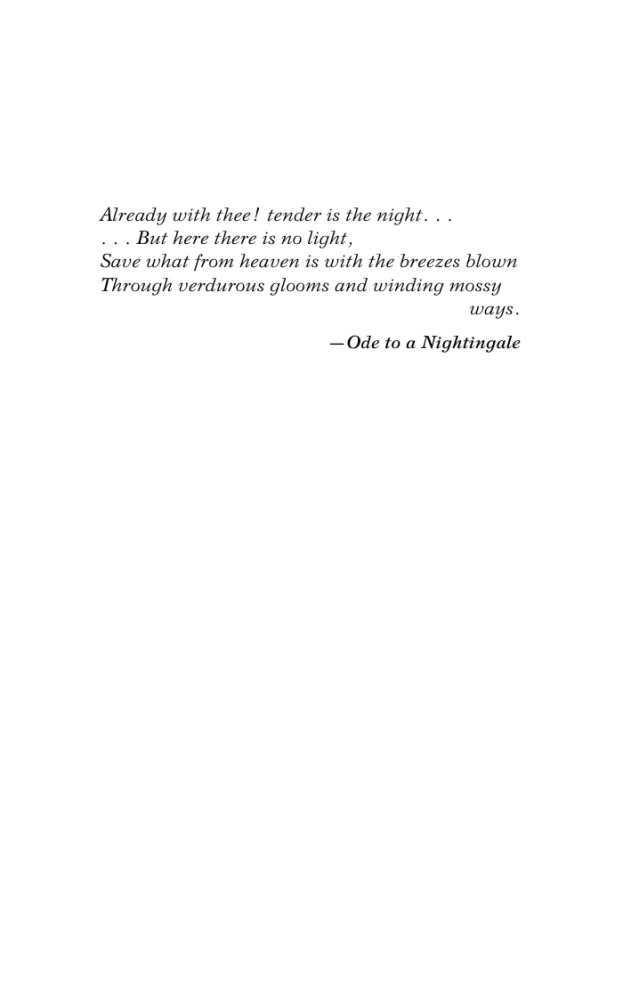 Tender is the Night