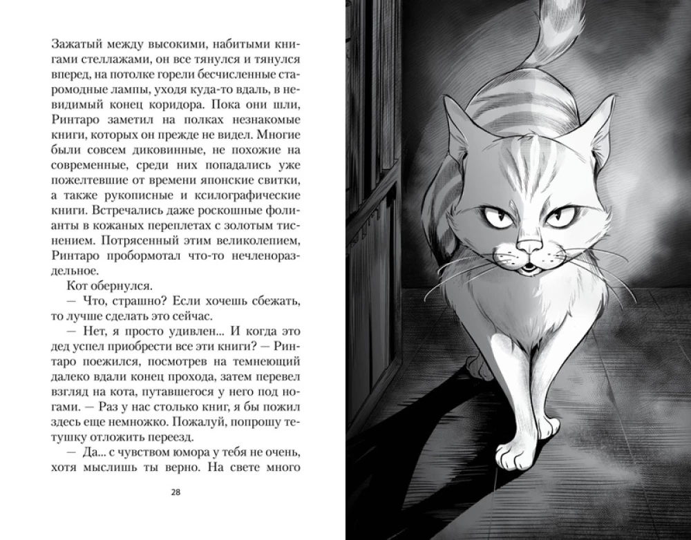 The Cat Who Loved Books