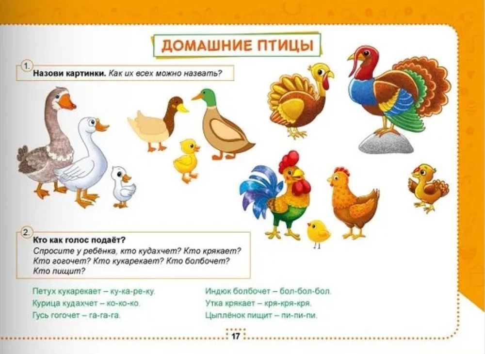Album for Speech Development