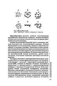 Биология для поступающих в вузы
