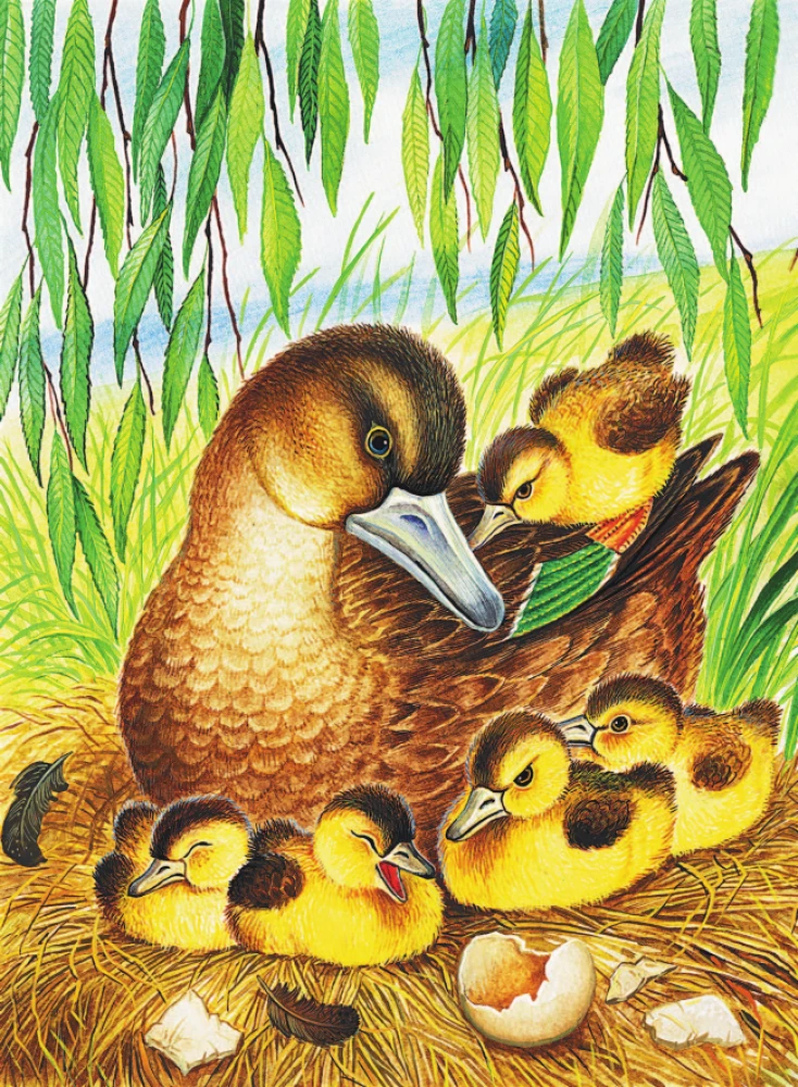 Маленькие сказки и рассказы