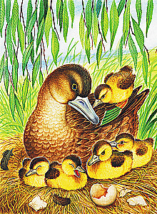 Маленькие сказки и рассказы