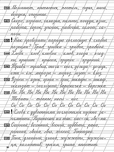 Чистописание и грамотность. Обучающие прописи