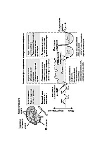 Psychosomatik nach der Neuen Germanischen Medizin. Unauffällige Ursachen von Krankheiten
