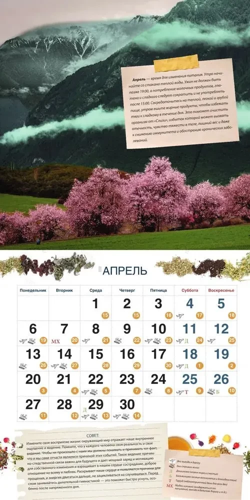 Calendar for 2026. Healing by Tibetan Medicine Recipes