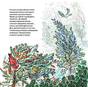 Gamtos kalendorius sieninis 2026 metams (290x290 mm)