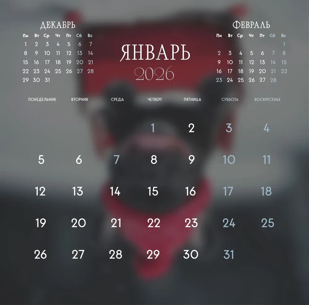 French Buns. Wall Calendar for 2026 (300x300)