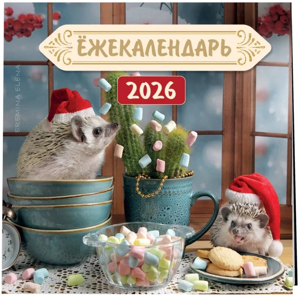 Hedgehog Calendar. Colorful Marshmallow. Wall Calendar for 2026 (170x170)
