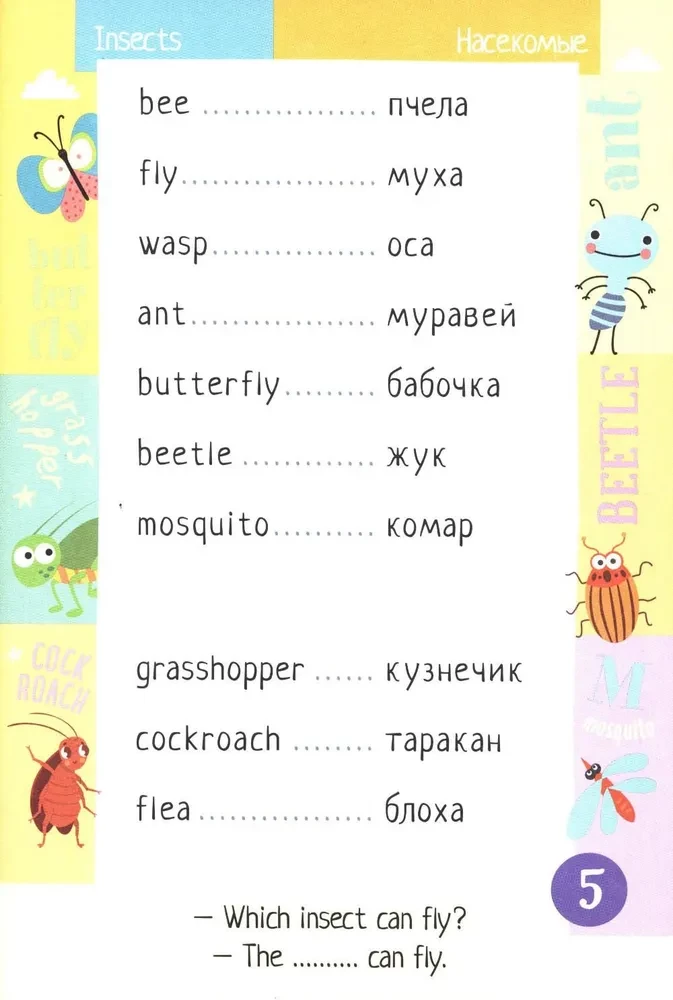500 English Words. Vocabulary Trainer. Level 1