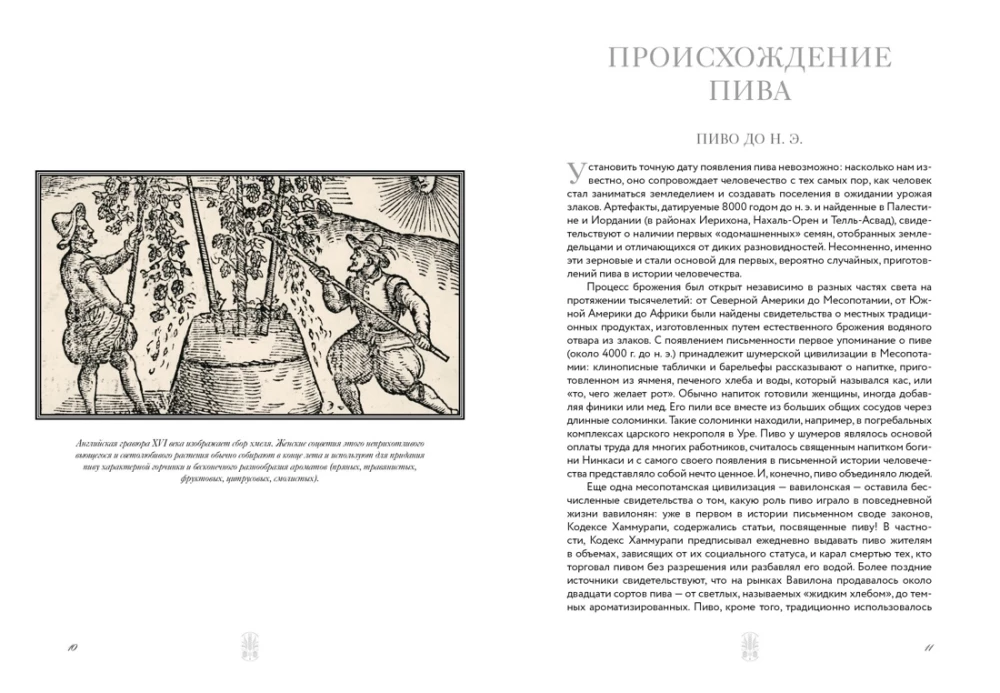 Маленькая книга гурмана. Пиво