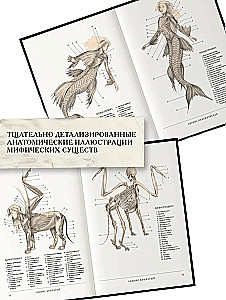 Prikėlimas, arba Fantastinių būtybių anatomija. Pamestas daktaro Spenserio Blako darbas
