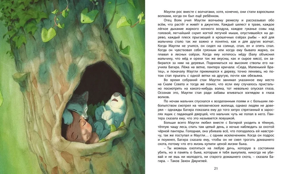Księga dżungli. Historia Mowgliego