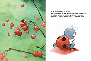 Zaskoczenie dla mamy (zestaw 3 książek)