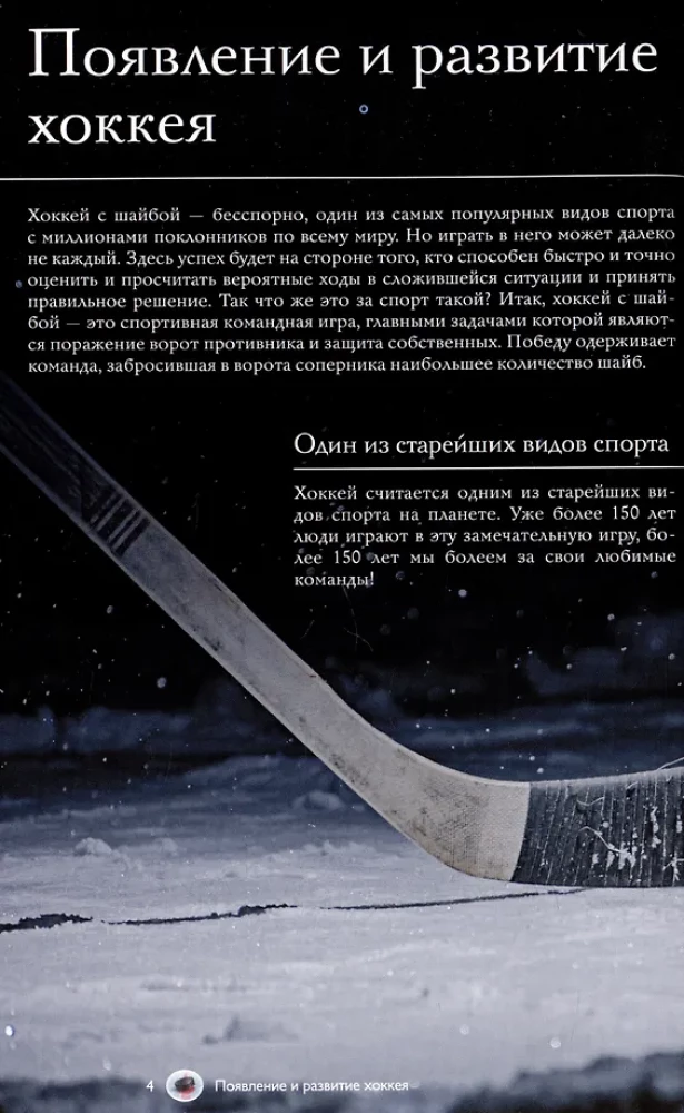 Hockey. Illustrated Guide