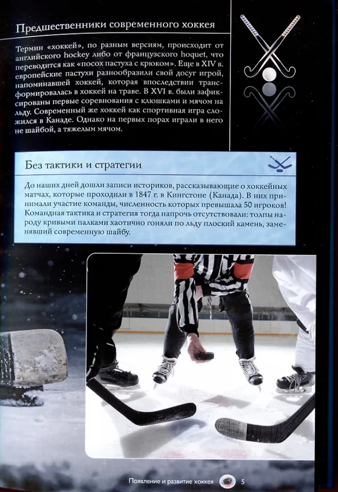 Hockey. Illustrated Guide